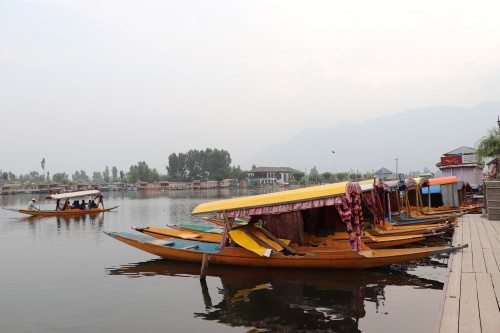 Standing Shikara Boats Dal Lake Kashmir