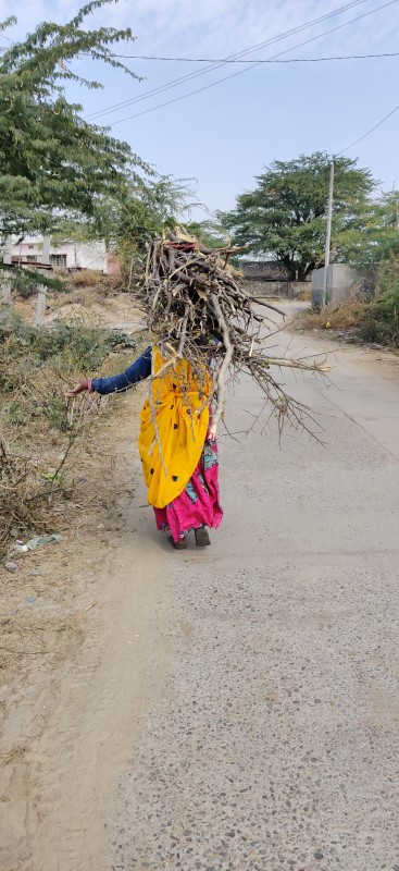 Village Woman Carrying wooden